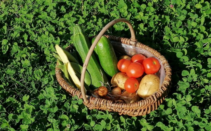 Gemüse aus eigenem Anabu